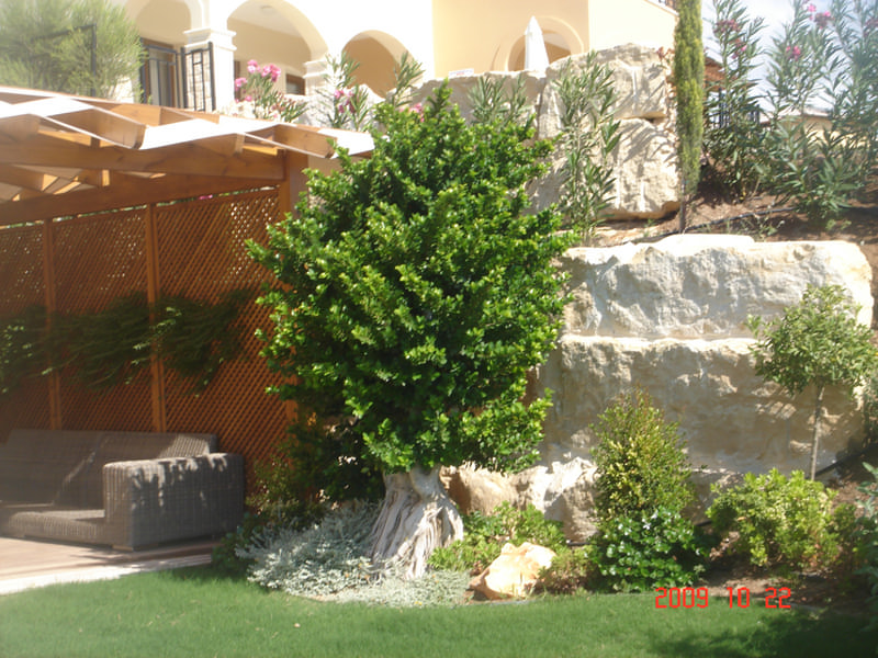 Green Forest - Cyprus' leading landscaping company - bonsaigardens 20 2