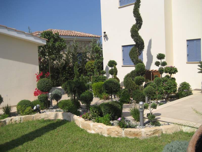 Green Forest - Cyprus' leading landscaping company - bonsaigardens 23