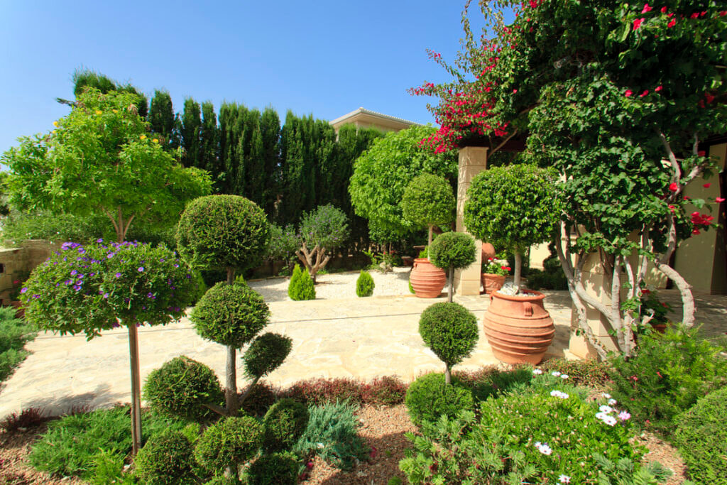 Green Forest - Cyprus' leading landscaping company - bonsaigardens 3