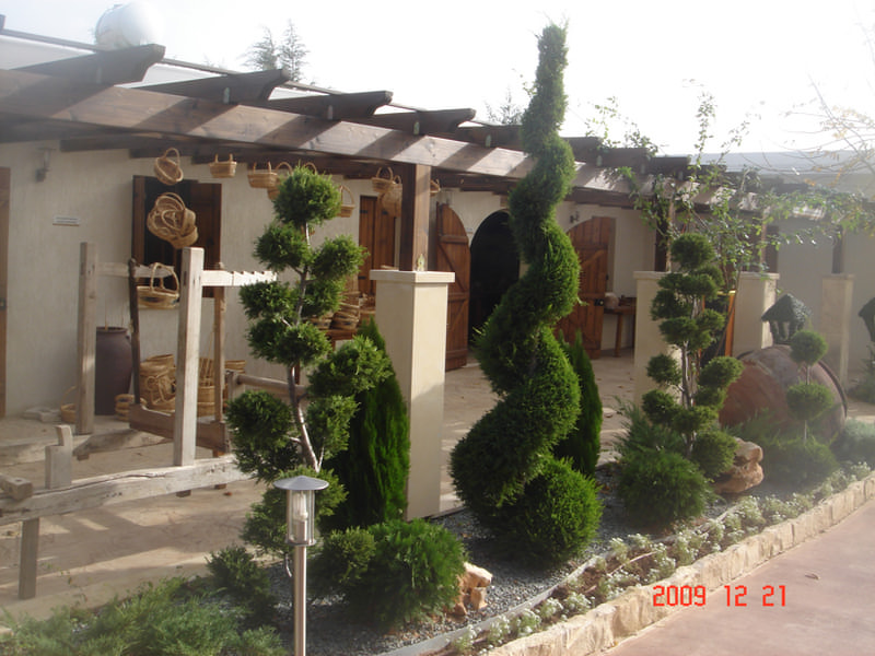 Green Forest - Cyprus' leading landscaping company - bonsaigardens 30 1
