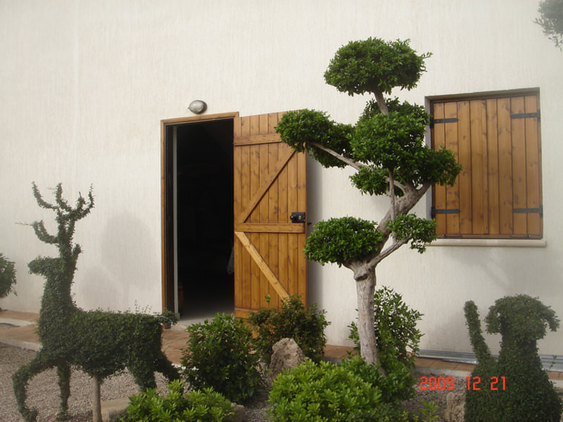 Green Forest - Cyprus' leading landscaping company - bonsaigardens 31 1
