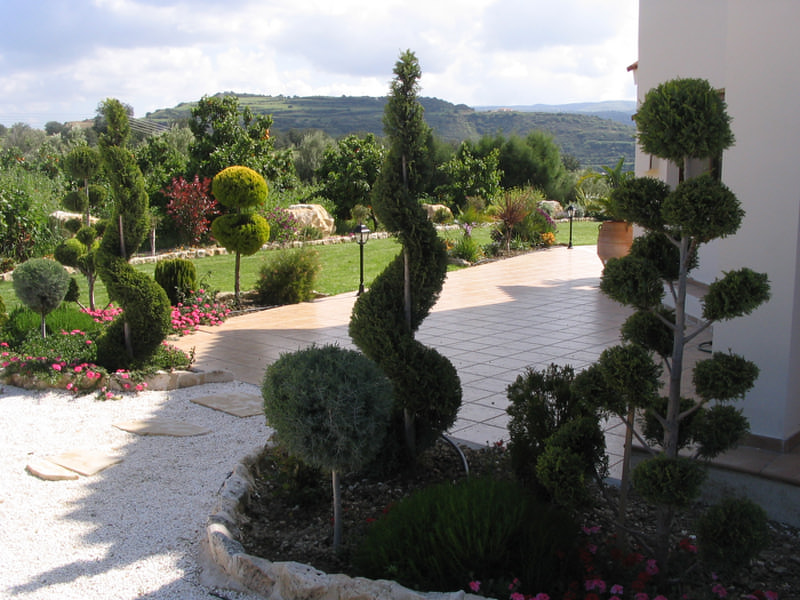 Green Forest - Cyprus' leading landscaping company - bonsaigardens 36