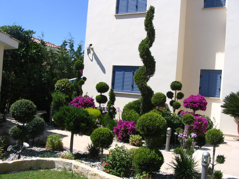 Green Forest - Cyprus' leading landscaping company - bonsaigardens 39 2