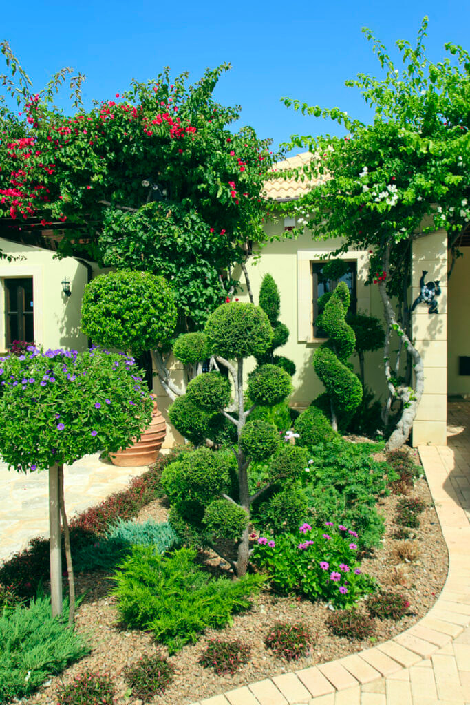 Green Forest - Cyprus' leading landscaping company - bonsaigardens 4 1
