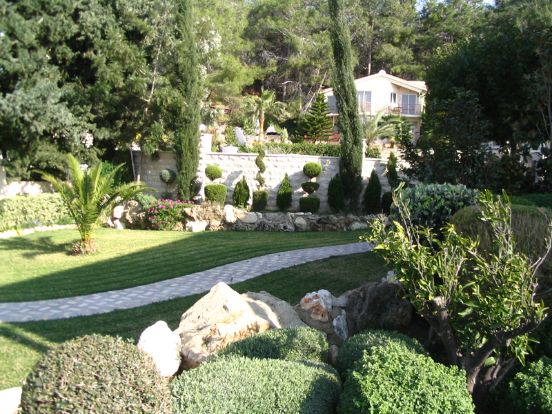 Green Forest - Cyprus' leading landscaping company - bonsaigardens 41
