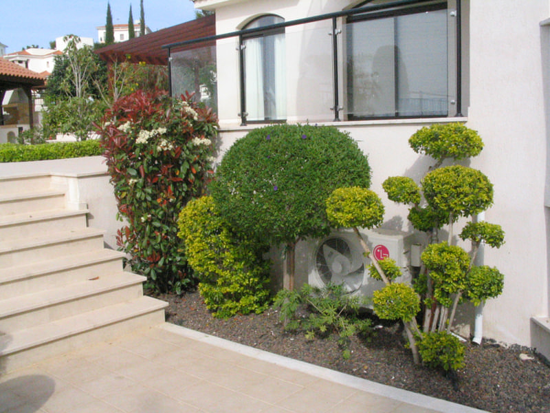 Green Forest - Cyprus' leading landscaping company - bonsaigardens 43