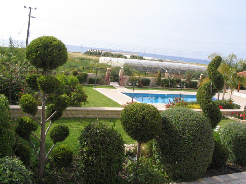 Green Forest - Cyprus' leading landscaping company - bonsaigardens 44 2