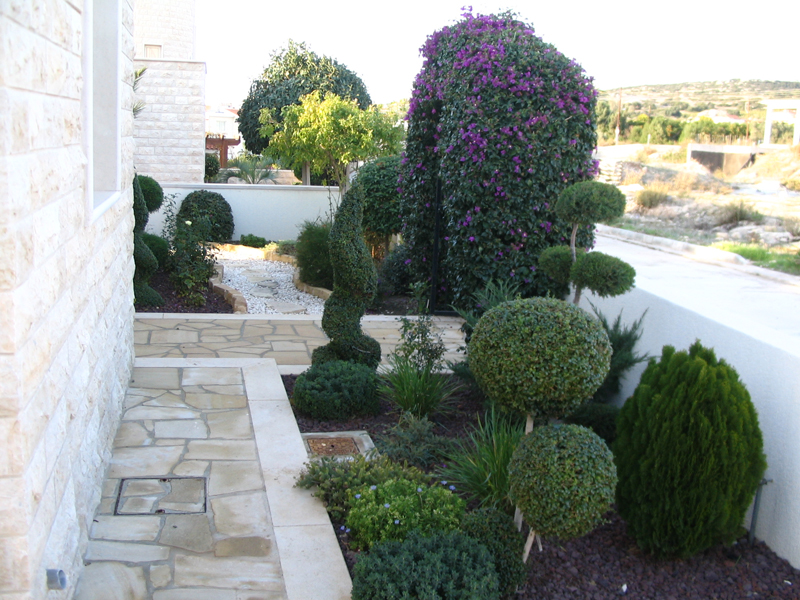 Green Forest - Cyprus' leading landscaping company - bonsaigardens 45 2