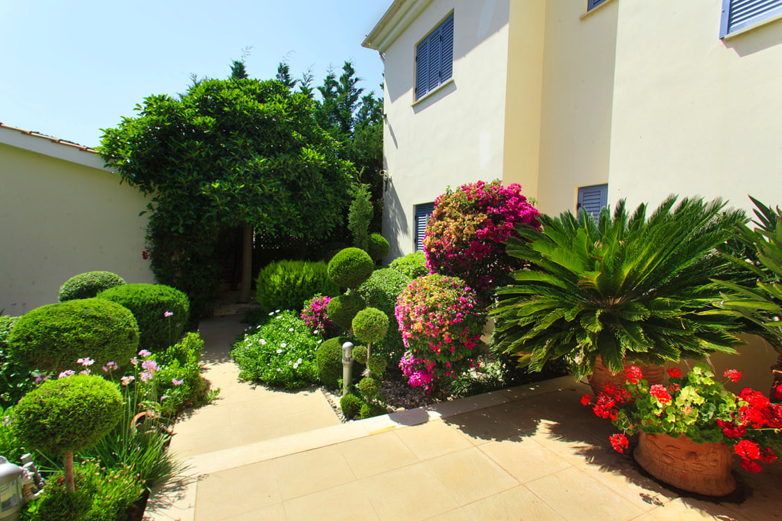 Green Forest - Cyprus' leading landscaping company - bonsaigardens 6 2