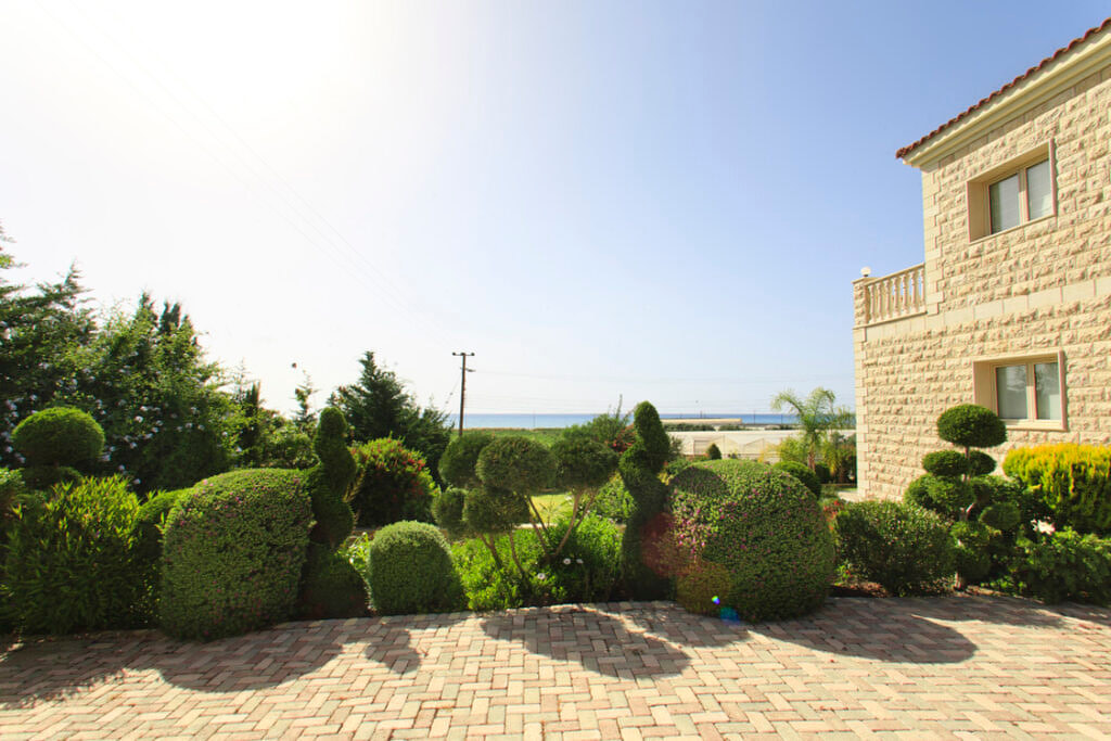 Green Forest - Cyprus' leading landscaping company - bonsaigardens 7 1