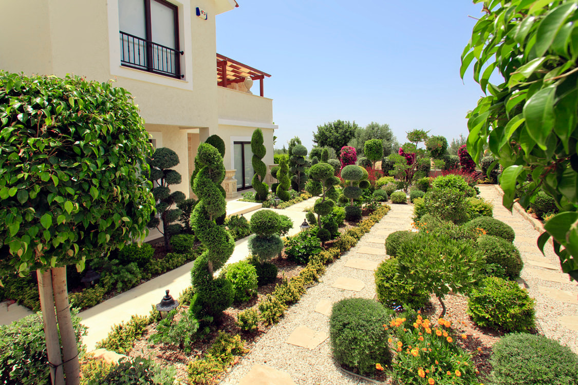 Green Forest - Cyprus' leading landscaping company - bonsaigardens 9 2