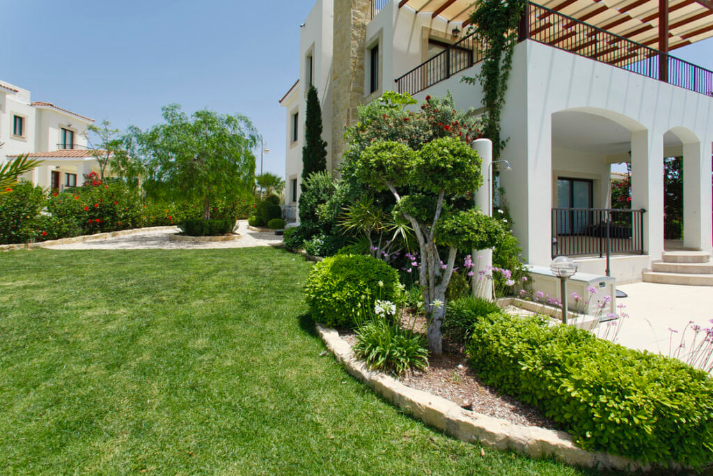 Green Forest - Cyprus' leading landscaping company - bonsaistemstopiariesplants 19 1