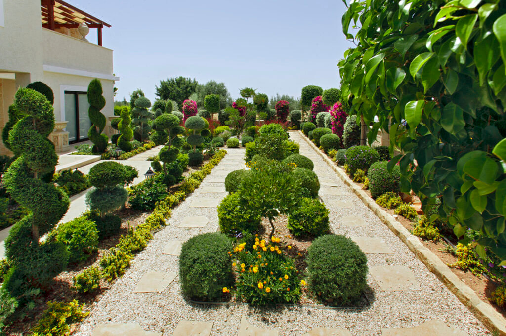 Green Forest - Cyprus' leading landscaping company - bonsaistemstopiariesplants 21 2