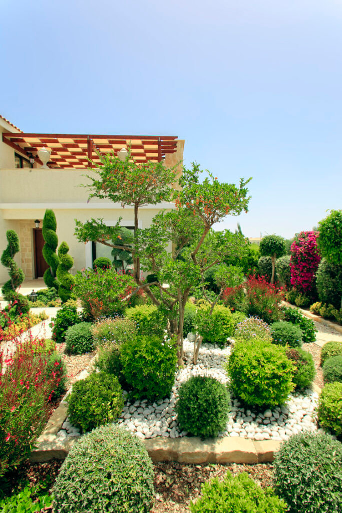 Green Forest - Cyprus' leading landscaping company - bonsaistemstopiariesplants 24 2