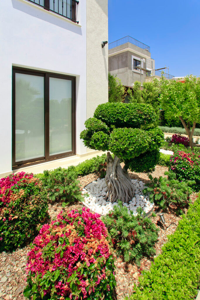 Green Forest - Cyprus' leading landscaping company - bonsaistemstopiariesplants 27