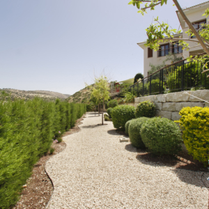 Green Forest - Cyprus' leading landscaping company - borders 1