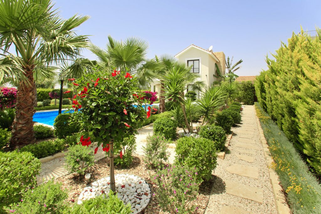 Green Forest - Cyprus' leading landscaping company - borders 11 2