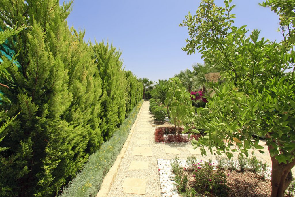 Green Forest - Cyprus' leading landscaping company - borders 12 2