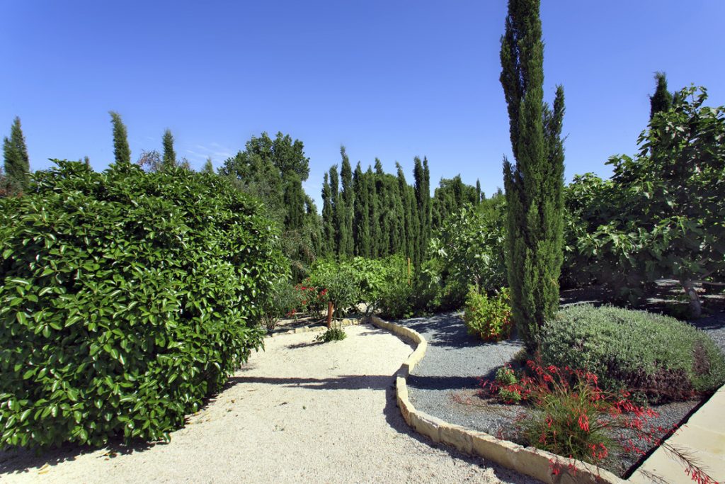 Green Forest - Cyprus' leading landscaping company - borders 15 2