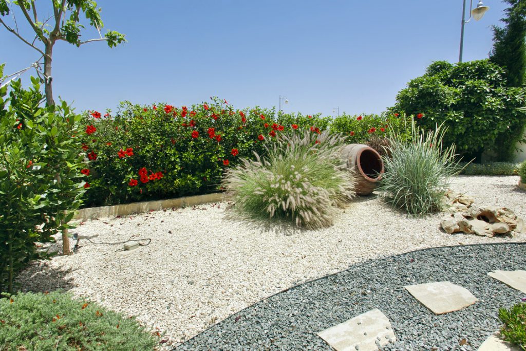Green Forest - Cyprus' leading landscaping company - borders 42 1