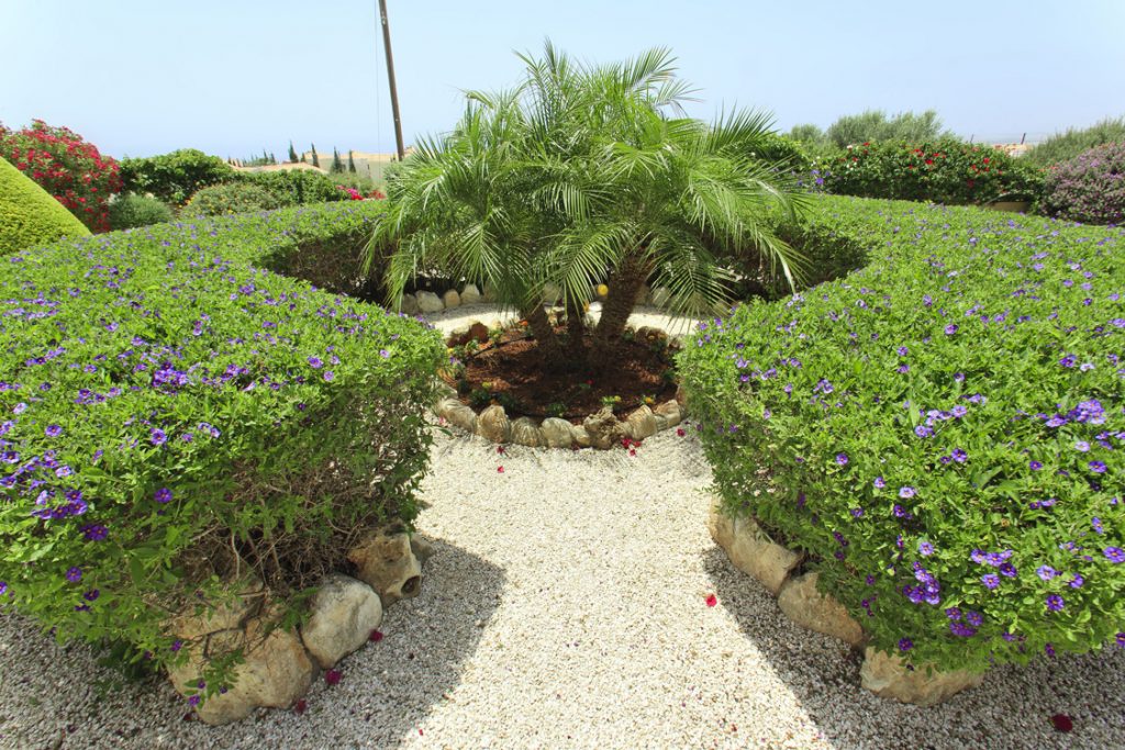 Green Forest - Cyprus' leading landscaping company - borders 5