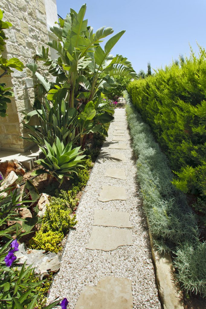 Green Forest - Cyprus' leading landscaping company - borders 7 1