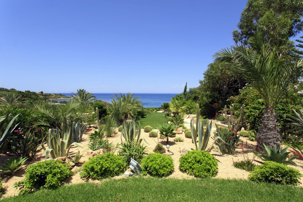 Green Forest - Cyprus' leading landscaping company - cactussucculentsplants 10 2