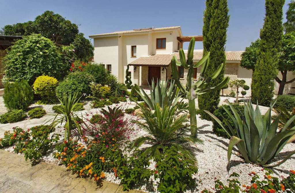 Green Forest - Cyprus' leading landscaping company - cactussucculentsplants 6 1