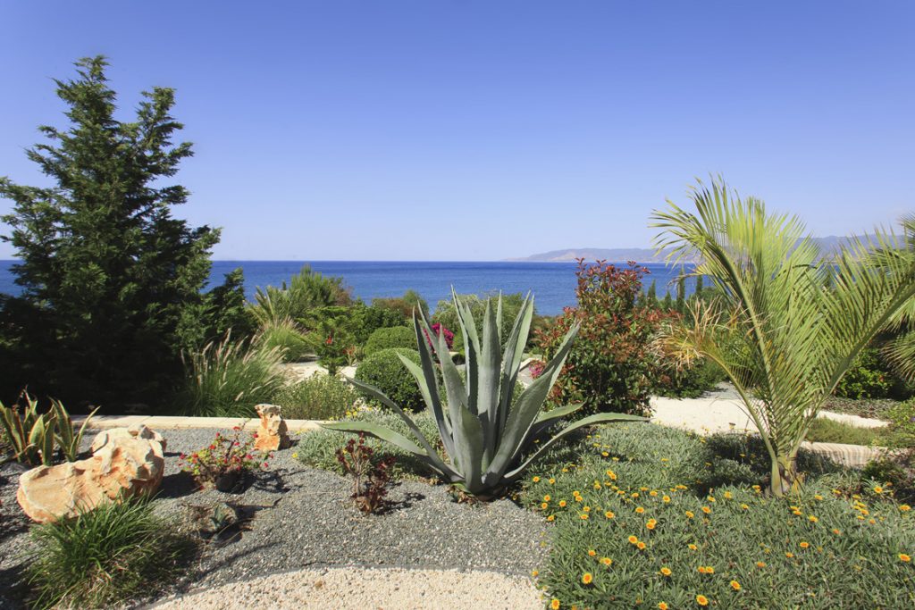 Green Forest - Cyprus' leading landscaping company - cactussucculentsplants 7
