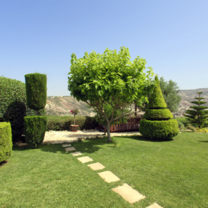Green Forest - Cyprus' leading landscaping company - conifergardens 1 2