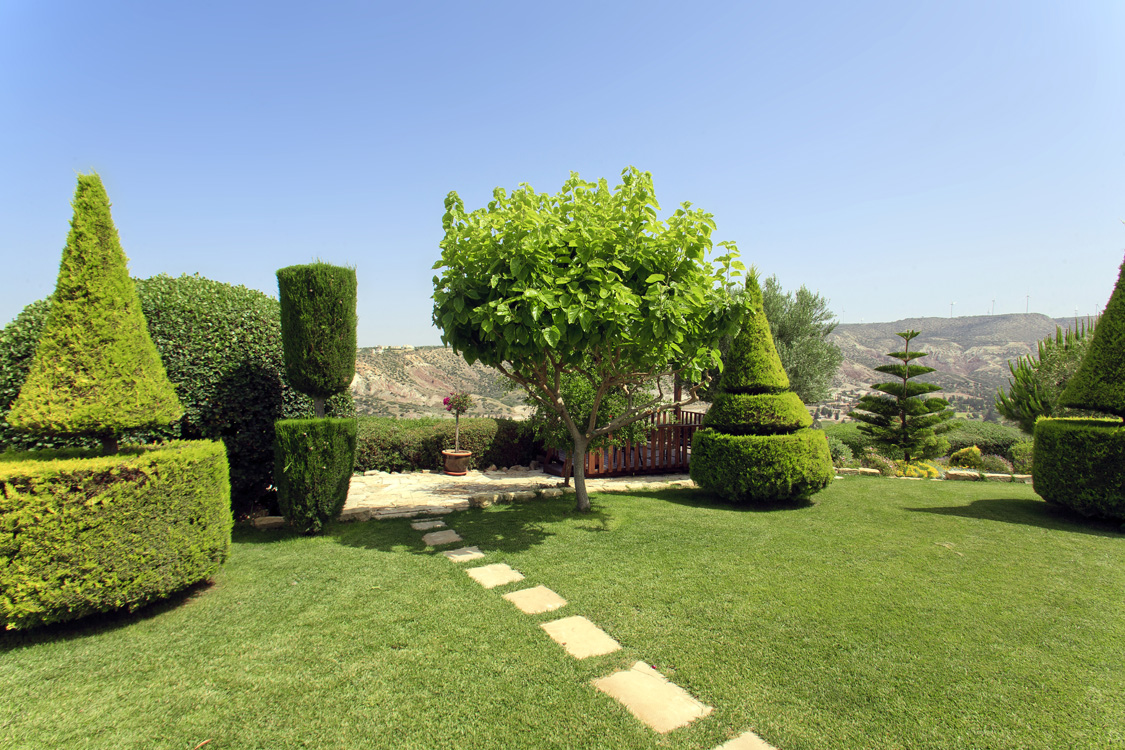 Green Forest - Cyprus' leading landscaping company - conifergardens 1 2