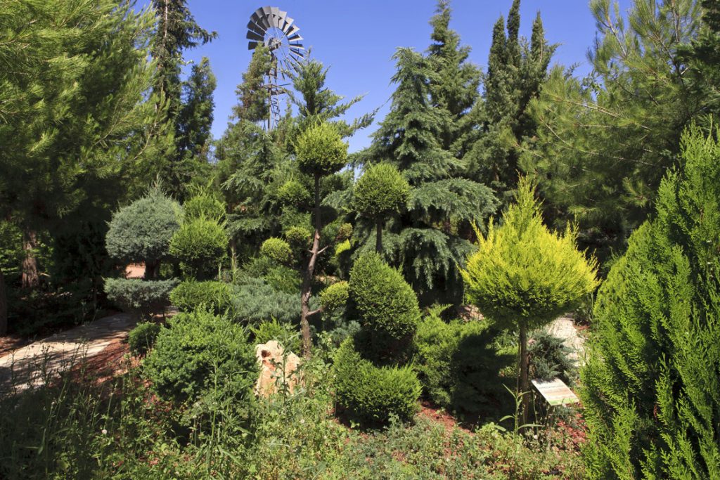 Green Forest - Cyprus' leading landscaping company - conifergardens 10 2