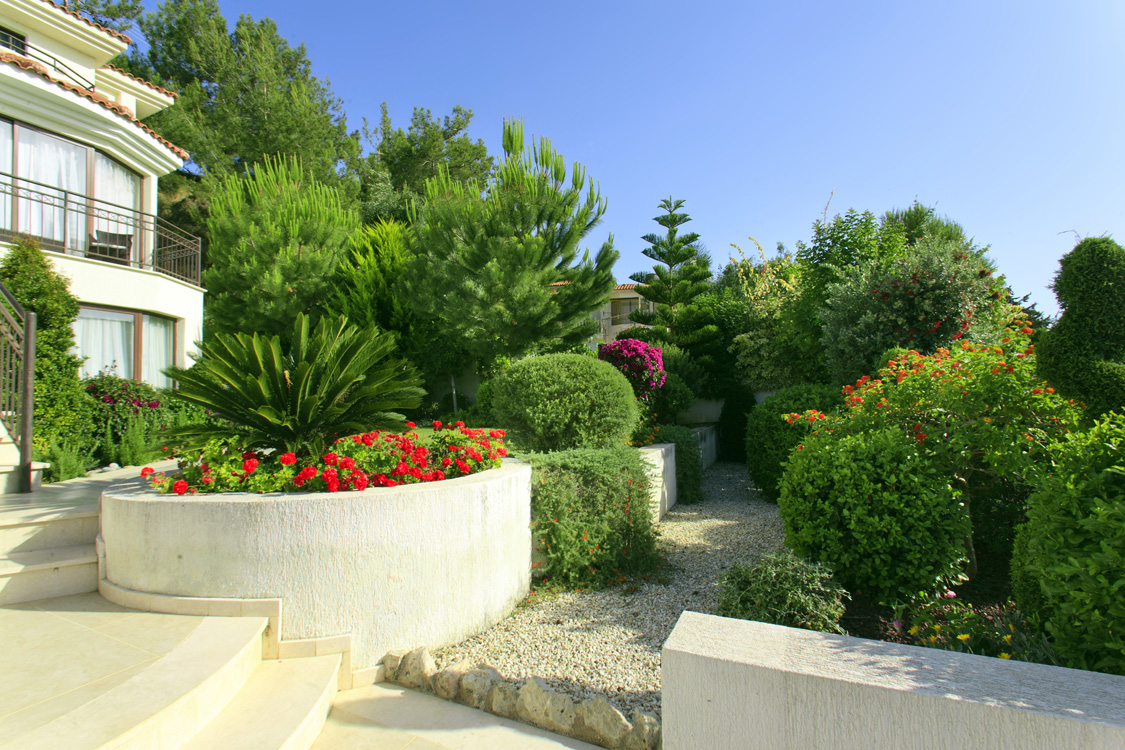 Green Forest - Cyprus' leading landscaping company - conifergardens 11 2