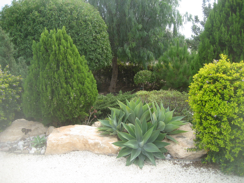Green Forest - Cyprus' leading landscaping company - conifergardens 17 2