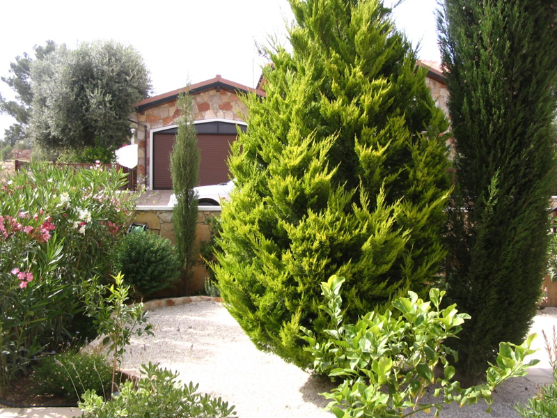 Green Forest - Cyprus' leading landscaping company - conifergardens 18 1