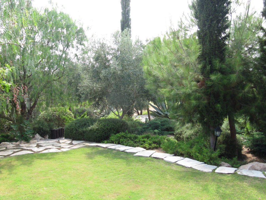 Green Forest - Cyprus' leading landscaping company - conifergardens 20 2
