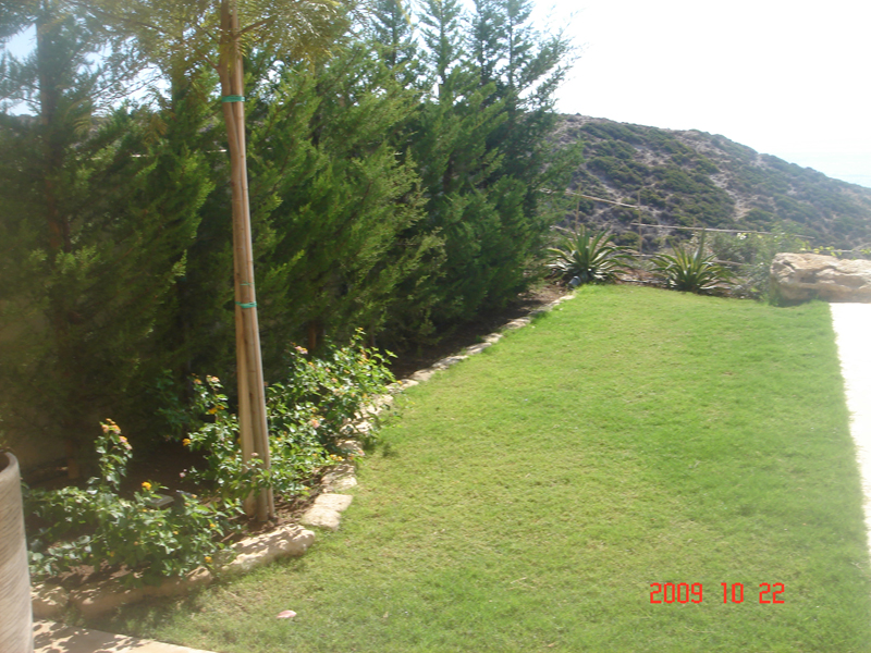 Green Forest - Cyprus' leading landscaping company - conifergardens 22 1