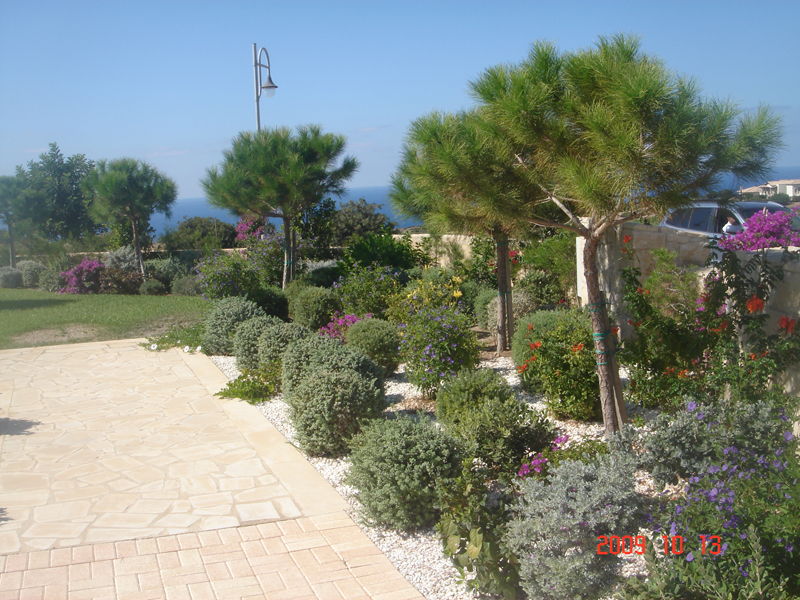 Green Forest - Cyprus' leading landscaping company - conifergardens 26
