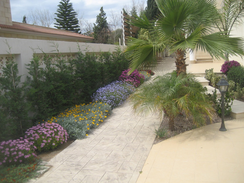 Green Forest - Cyprus' leading landscaping company - conifergardens 28