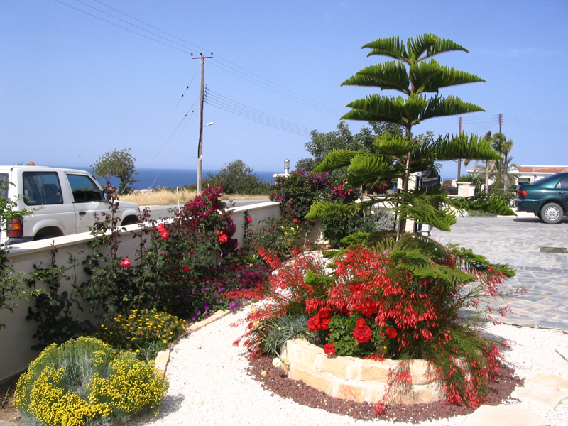 Green Forest - Cyprus' leading landscaping company - conifergardens 29