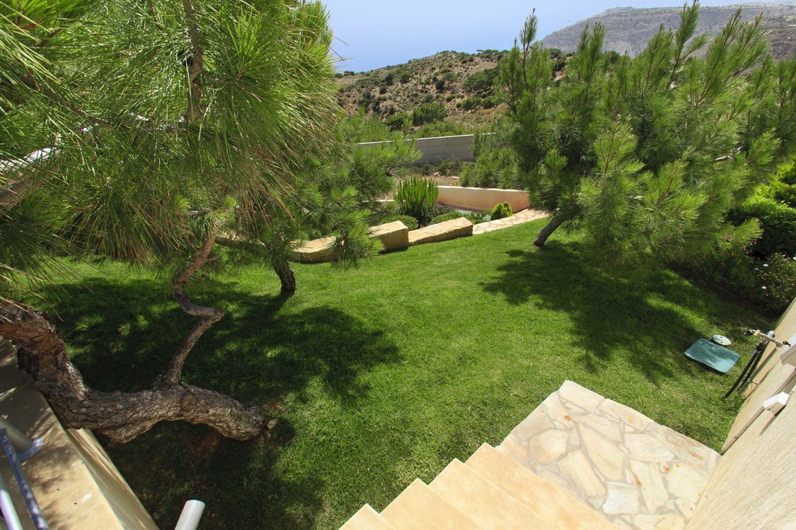 Green Forest - Cyprus' leading landscaping company - conifergardens 3