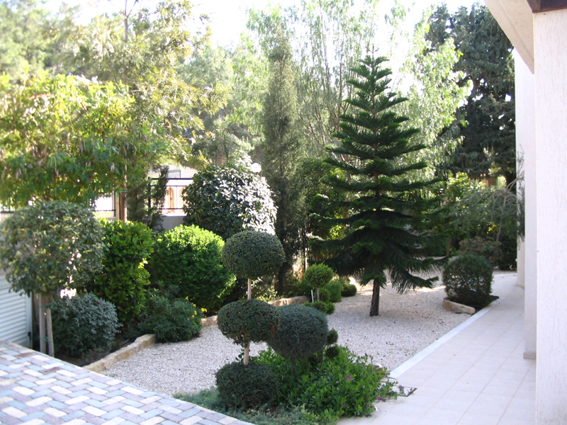 Green Forest - Cyprus' leading landscaping company - conifergardens 31 2