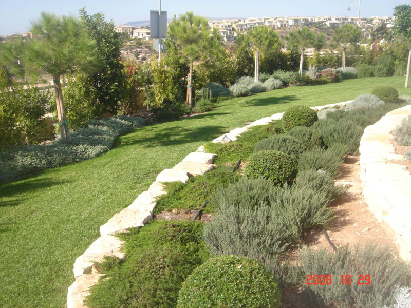Green Forest - Cyprus' leading landscaping company - conifergardens 32 2