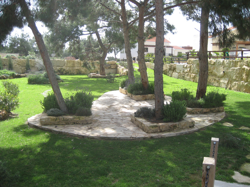 Green Forest - Cyprus' leading landscaping company - conifergardens 34 1