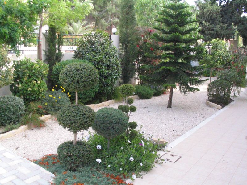 Green Forest - Cyprus' leading landscaping company - conifergardens 36
