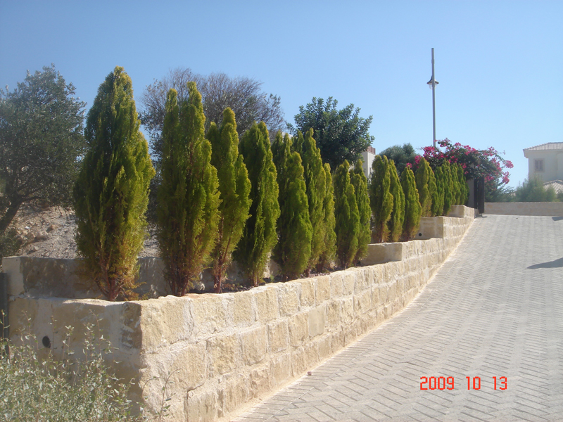 Green Forest - Cyprus' leading landscaping company - conifergardens 39 2