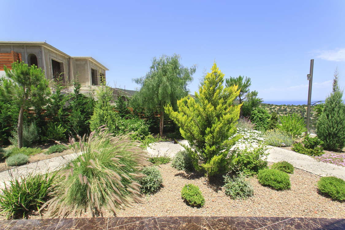 Green Forest - Cyprus' leading landscaping company - conifergardens 4 2