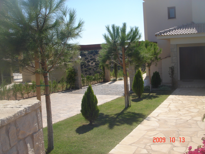 Green Forest - Cyprus' leading landscaping company - conifergardens 40 2