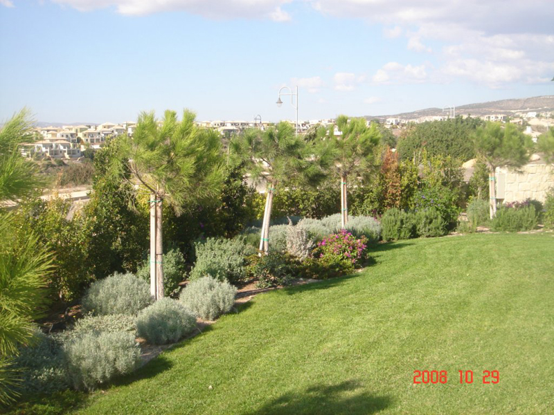 Green Forest - Cyprus' leading landscaping company - conifergardens 44