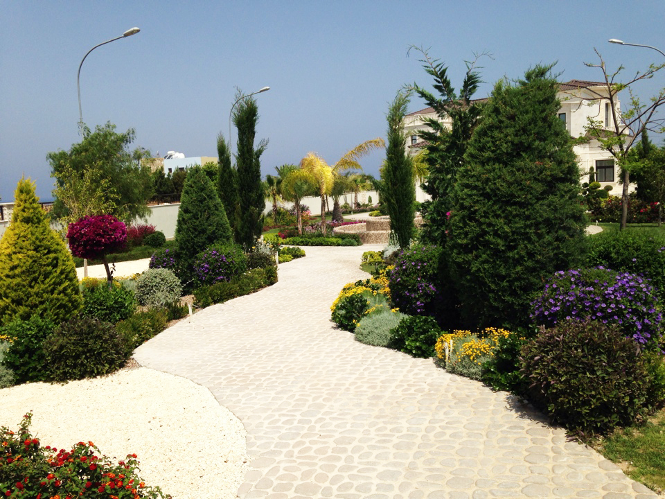 Green Forest - Cyprus' leading landscaping company - conifergardens 47